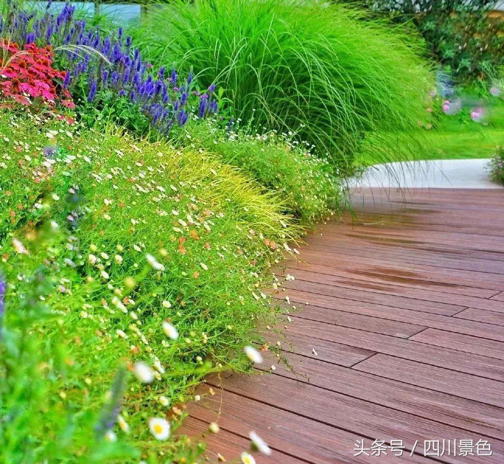 小众又免费！成都地铁直达的天然氧吧！清凉洗肺又解暑！