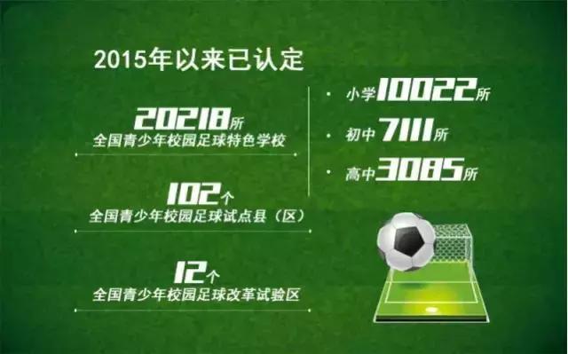 中国足球特长生,中国青少年足球联赛厦门赛区