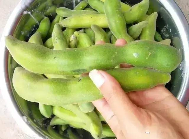 狗爪豆的来历,狗爪豆有什么作用