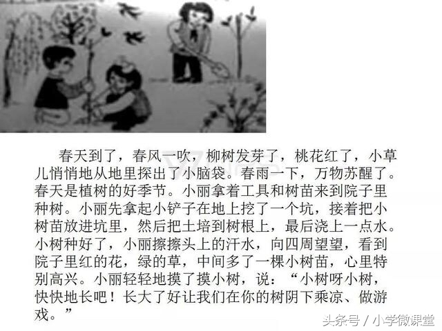 小鸭子得救了二年级看图写话范文,二年级语文下册必考看图写话范文