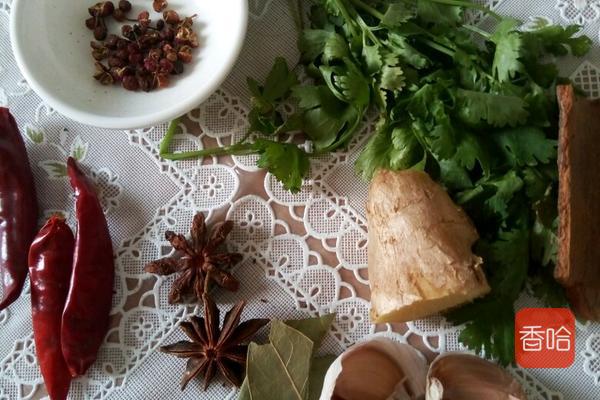 如何煮牛腩又烂又好吃,牛腩如何煮得软烂多汁