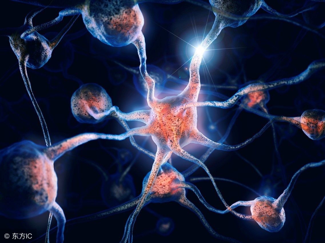 生命的起源与进化生物视频,生命的起源与进化历史纪录片