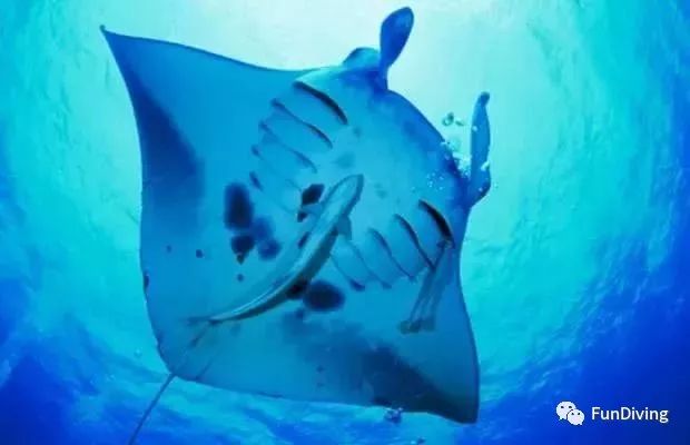 到塞班去看海,到了塞班怎么去美国