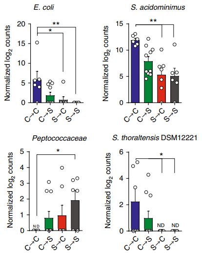 孕期做微生物实验有影响吗,孕期压力大对宝宝影响的研究