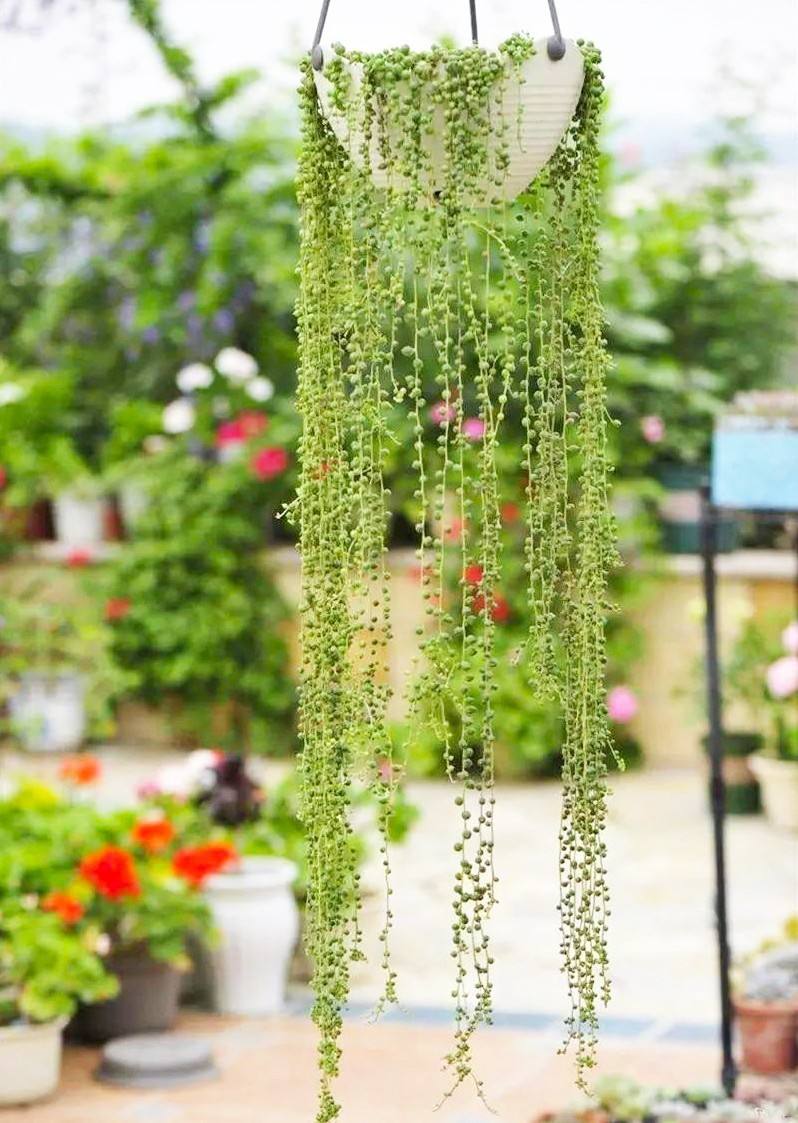 祥云铭鼎装饰工程有限公司,大理祥云铭鼎装修价格