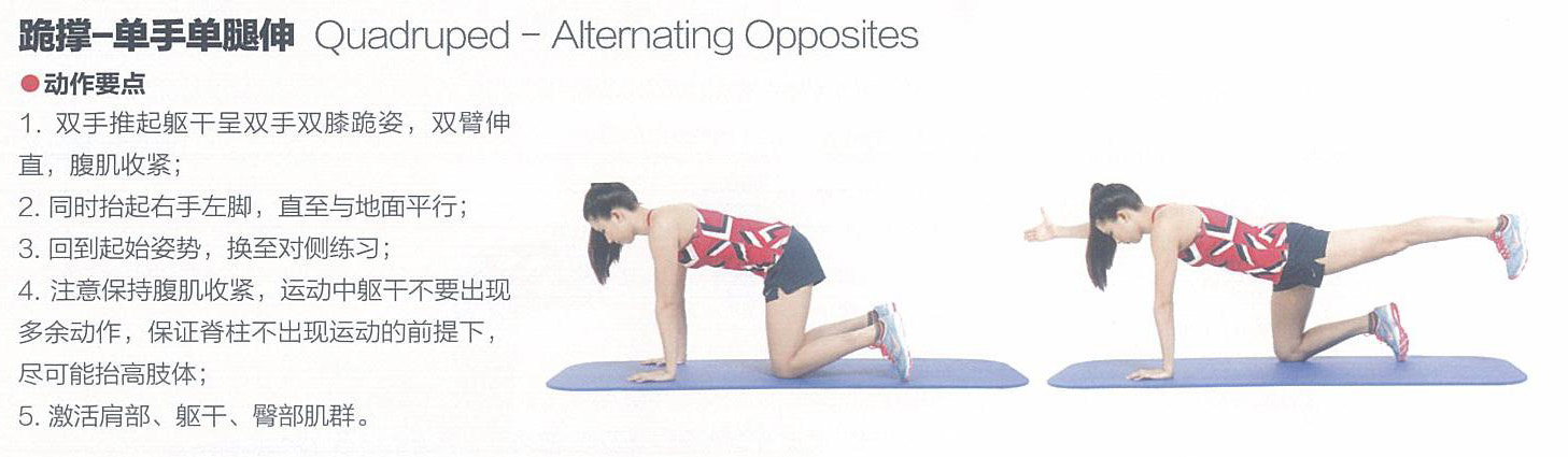 冰王说球基础教学,冰王说球技巧视频