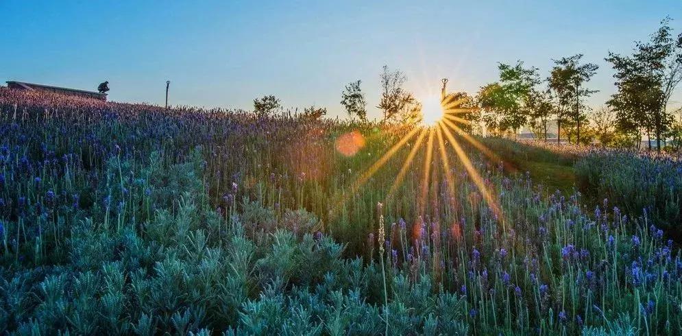 前三季度昆明各区县gdp,昆明各区县gdp