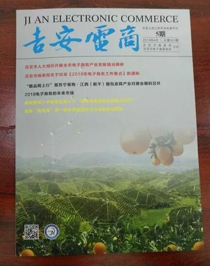 江西吉安电商,吉安电商网站建设