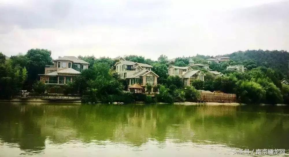 南京富人区名单曝光,2018年南京富豪区