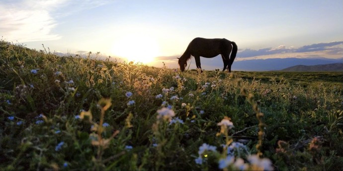 比小米max3好的大屏手机有哪些,小米max3评测超大屏幕的
