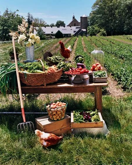 这家奇葩餐厅“坑”了中国食客,却征服了米其林食探,连奥巴马夫妇都是它的粉丝!