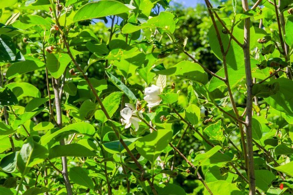 抚顺深度游攻略游记,抚顺旅游攻略自由行