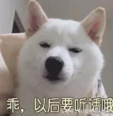 比nars还贵的粉饼,比nars还便宜的化妆品牌