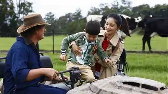 新西兰奶粉最新事件,新西兰奶粉到底是真的吗