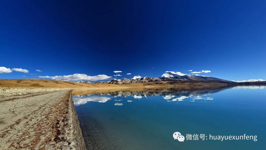 西藏之旅遇到野藏獒,西藏自驾游中遇到一窝小藏獒