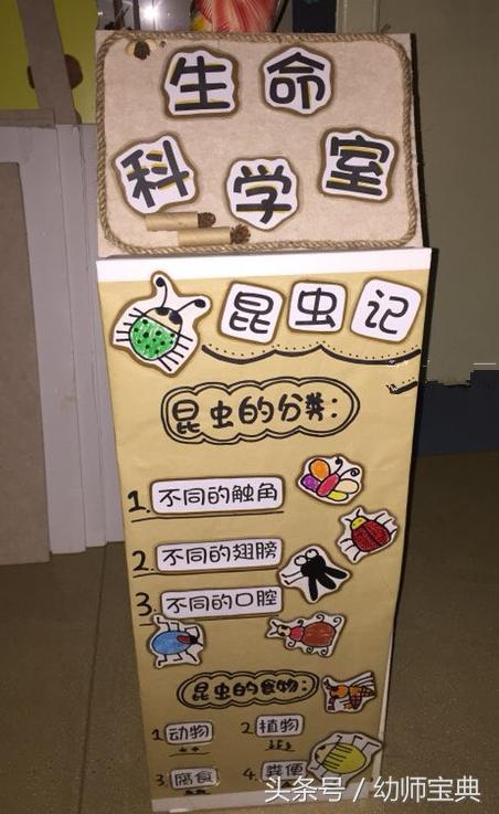 幼儿园科学区角设计,幼儿园区角科学区视频