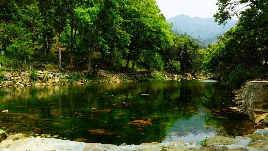 广州南沙自驾游一日游推荐,广州南沙亲子游自由行攻略