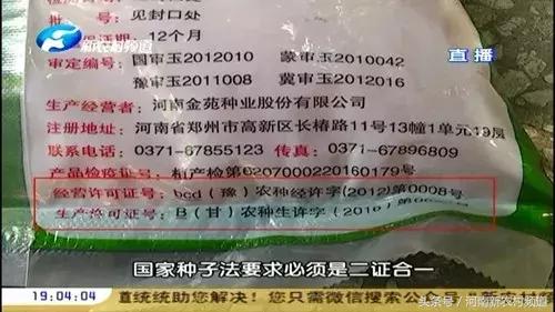 315曝光假玉米,315打假的玉米种子