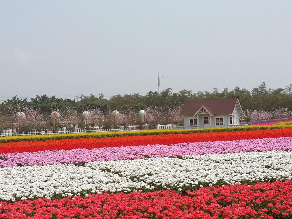 广州南沙自驾游一日游推荐,广州南沙亲子游自由行攻略