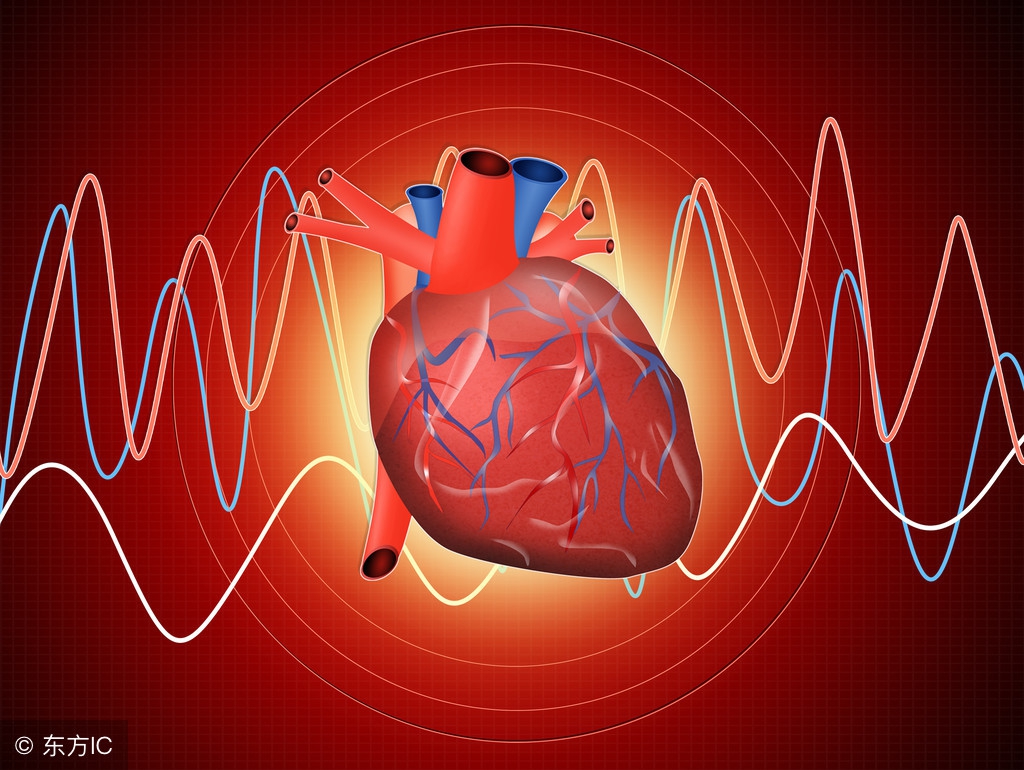 心血管领域龙头制药公司,国内心血管药企哪家强