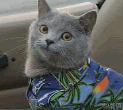 黑龙江省入围百强城市排名2020,2021年中国百强城市黑龙江