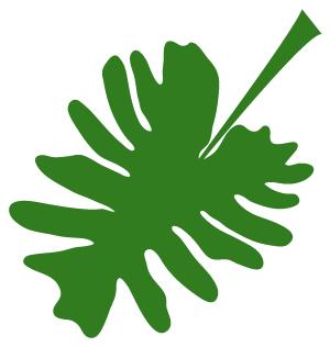 最新湖州16批次食品抽检不合格,曝光这28批次食品抽检不合格