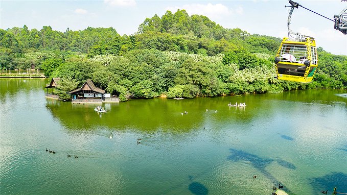 带小孩去长隆欢乐世界畅玩一天,暑假带娃去广州长隆野生动物世界