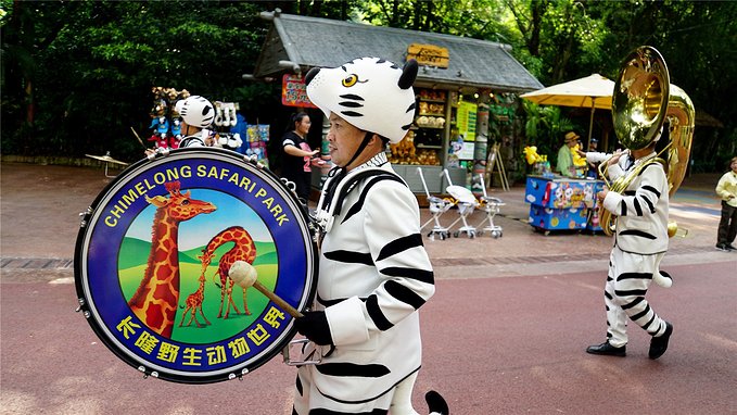 带小孩去长隆欢乐世界畅玩一天,暑假带娃去广州长隆野生动物世界