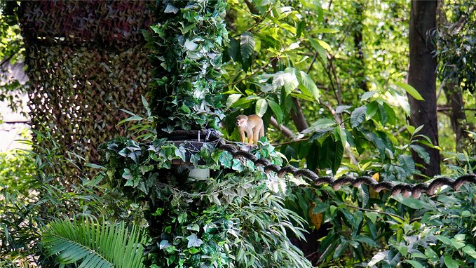 带小孩去长隆欢乐世界畅玩一天,暑假带娃去广州长隆野生动物世界