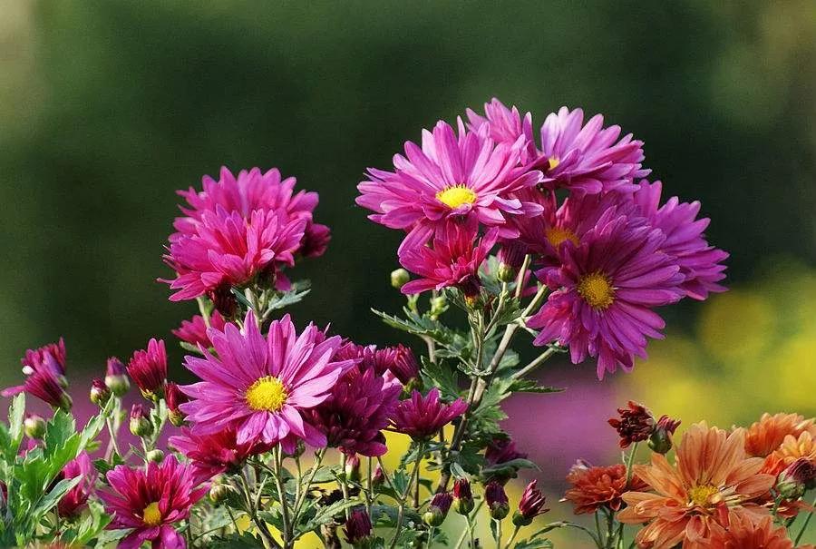 彭山景区活动购票,常德彭山景区游玩攻略图