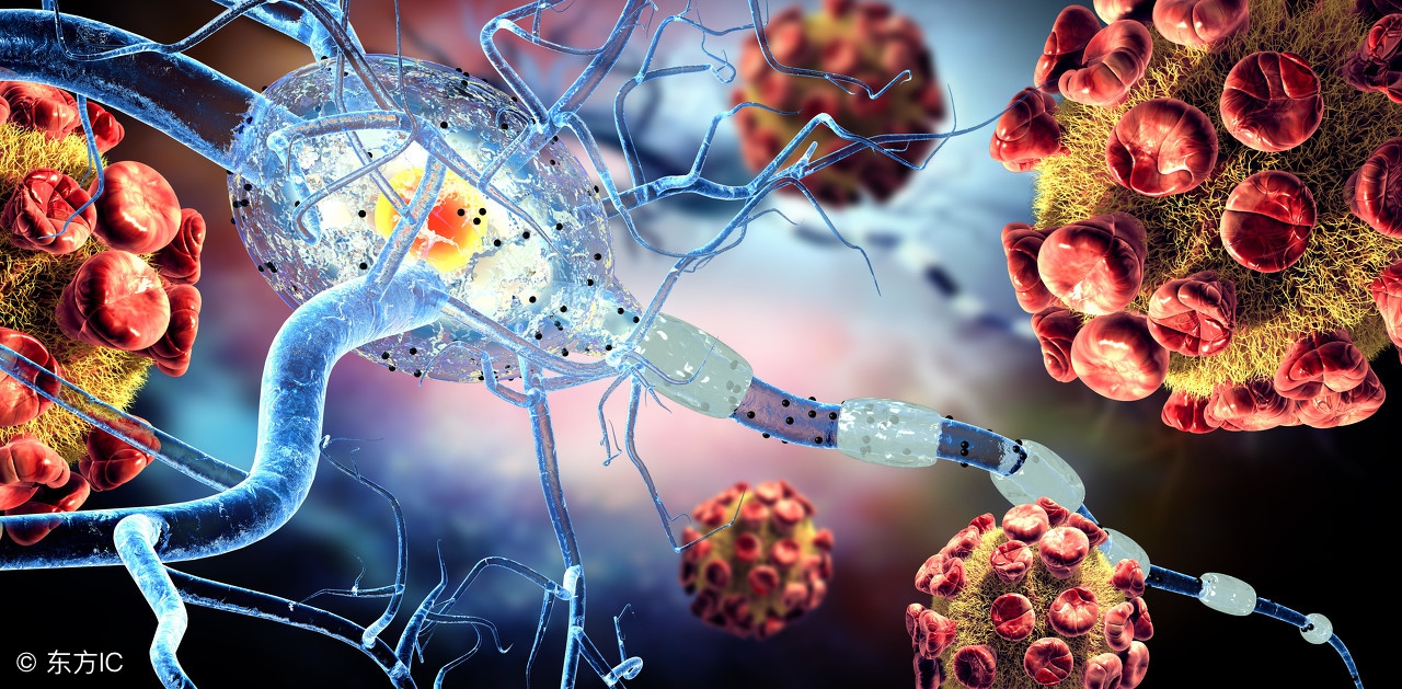 孩子抵抗力比较差需要干预吗,家长说幼儿体质太差怎么回复