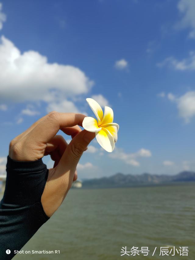 坚果r2评测王自如对比坚果r1,王自如zealer评测锤子r1