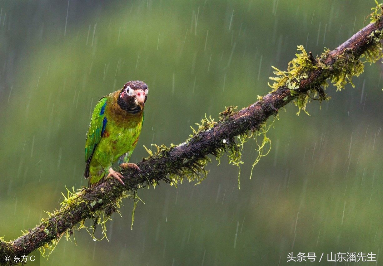 三亚海棠湾有什么好玩的旅游景点,三亚亚龙湾华宇迎宾馆里5大景点