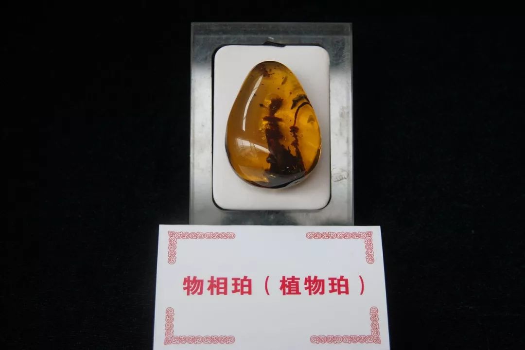 缅甸琥珀最好的是哪里,腾冲琥珀基地