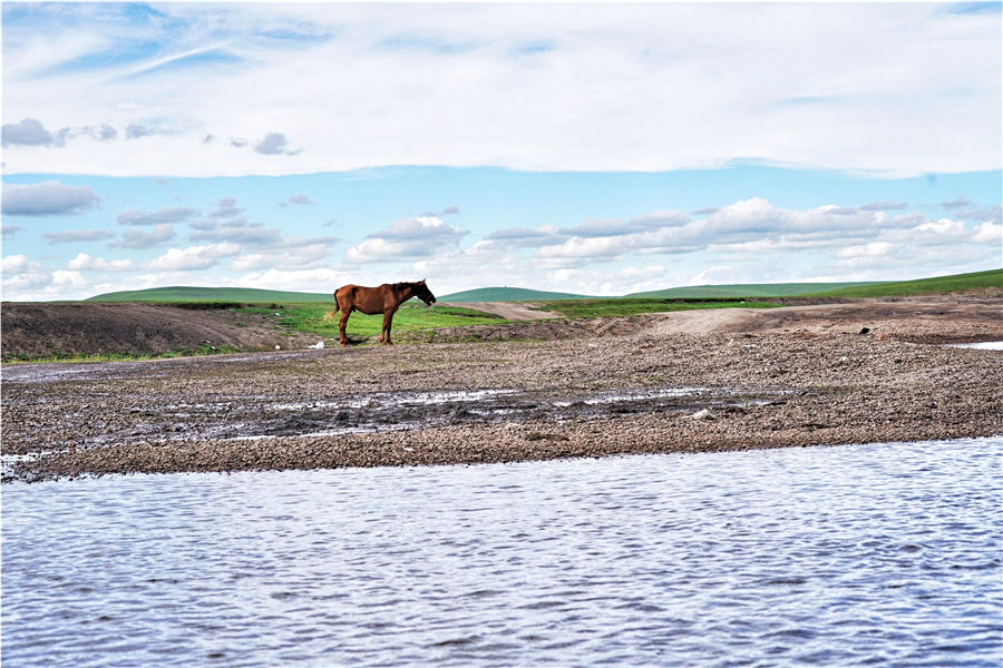 莫日格勒河在呼伦贝尔大草原吗,呼伦贝尔自由行露营攻略