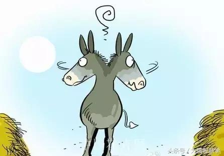 一头驴上班的经典感悟,一头上班的驴很现实