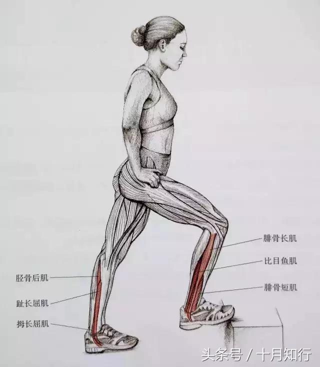 全套小腿拉伸动作视频,拉伸小腿正确方法让腿变细