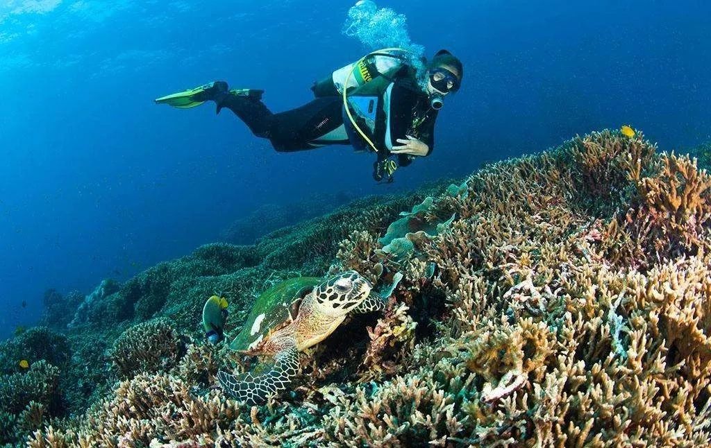 浮潜看海底不一样的世界,浮潜走进十大奇妙世界