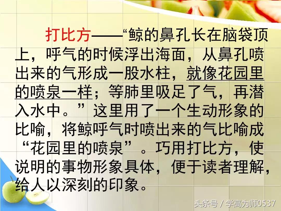 我最喜欢的一件物品五年级作文,五年级上册介绍一件物品作文