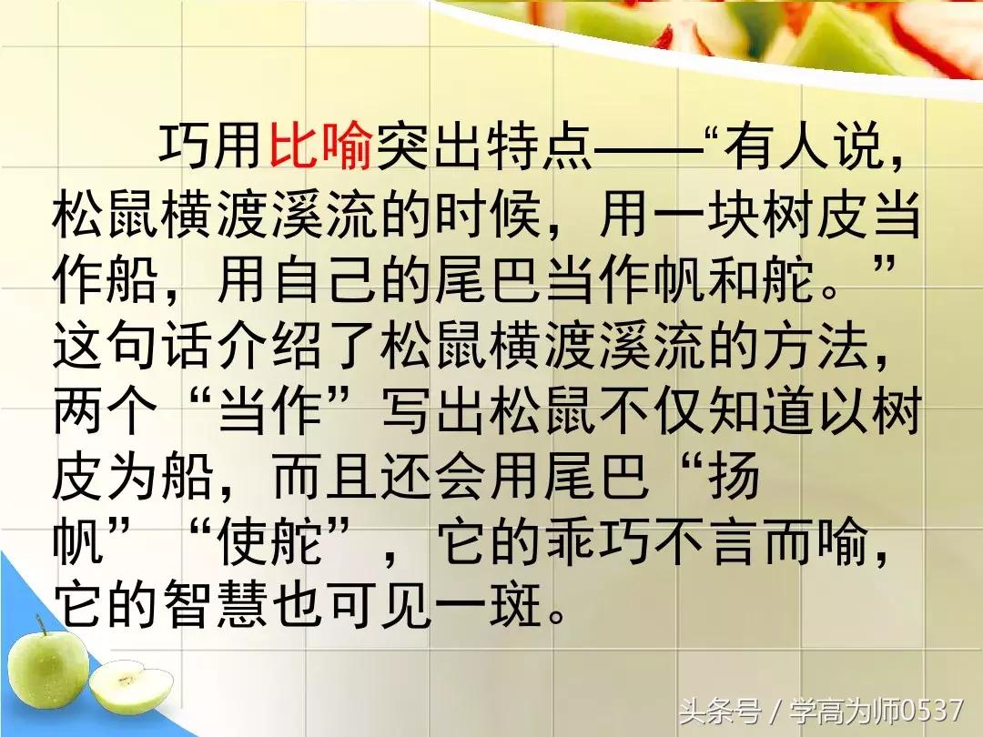 我最喜欢的一件物品五年级作文,五年级上册介绍一件物品作文