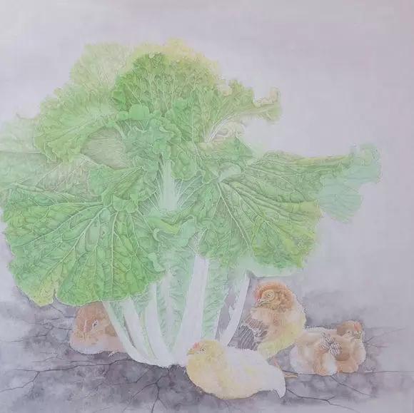 画白菜技法,3d白菜画