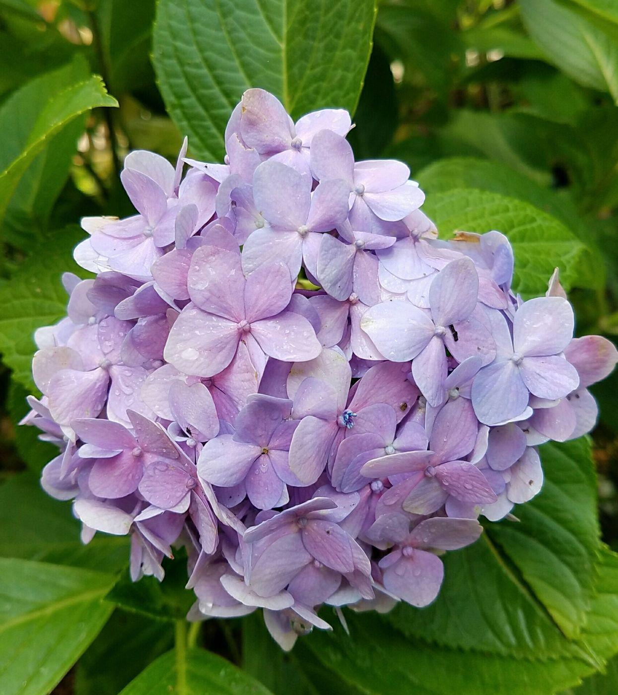 曾家山避暑15天吃住,避暑胜地曾家山