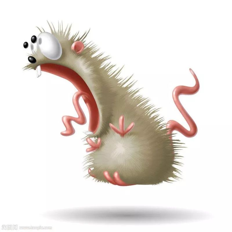 洋垃圾被海关查获,1万吨洋垃圾退运出境