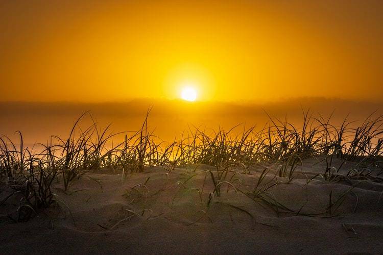 握手礼仪的七大禁忌在线阅读,在社交场合规范的握手方式