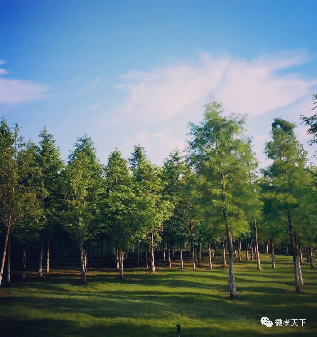 有多少人分不清楚孝感与孝感北,孝感人过早对孝感文化的感悟