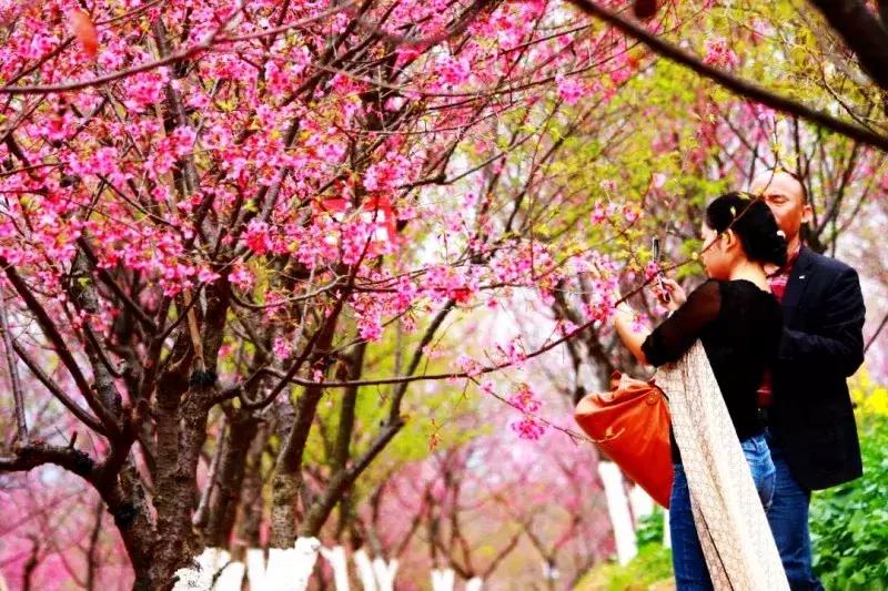 对不起，我劝你千万别去从化，不然会后悔……