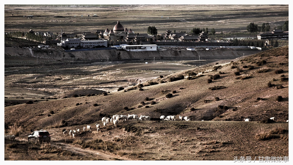 甘肃微故事,甘肃人的微故事