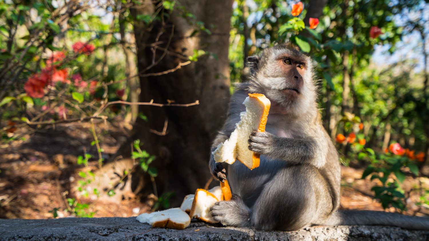 去巴厘岛跟团好不好,巴厘岛跟团游最佳攻略