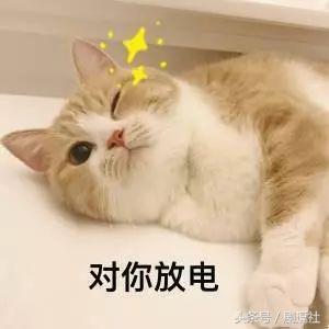 非诚勿扰鹿晗,罗志祥鹿晗李荣浩泰勒