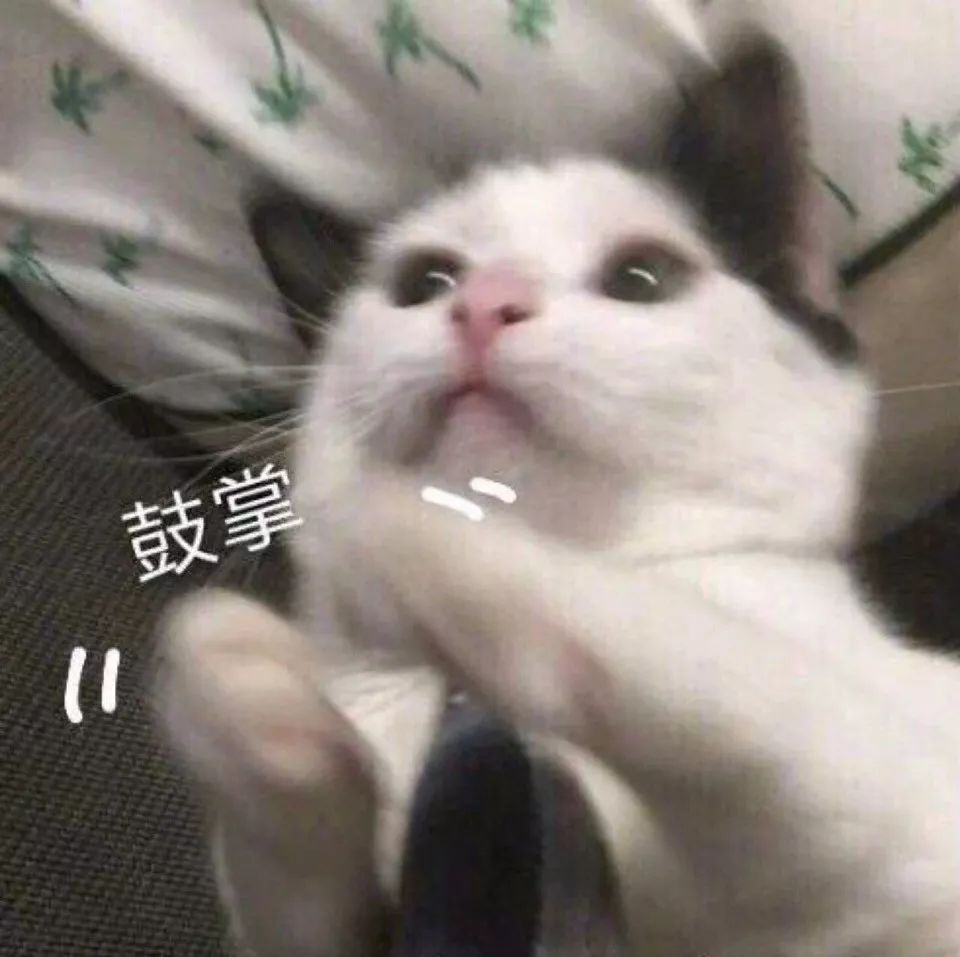 沂蒙山小调名家,沂蒙山小调传承人宋守莲多少岁